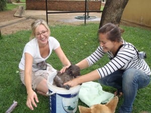 Jenny and a volunteer giving a monkey a bath in a bucket