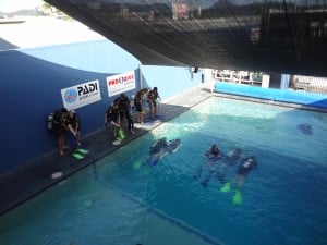 People in a pool taking diving instruction