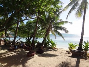 A Fijian beach with palm trees