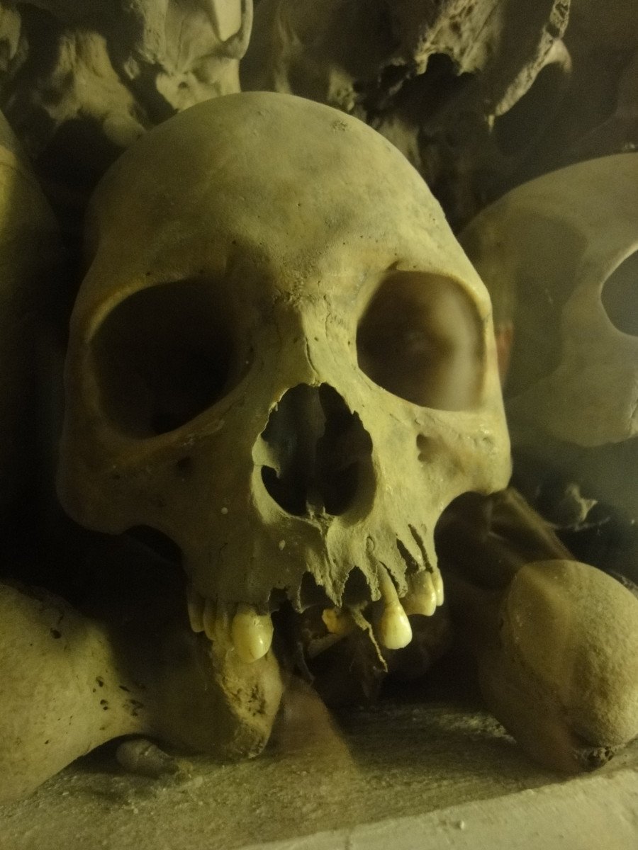 Skulls in The Catacombs, Iglesia de San Francisco