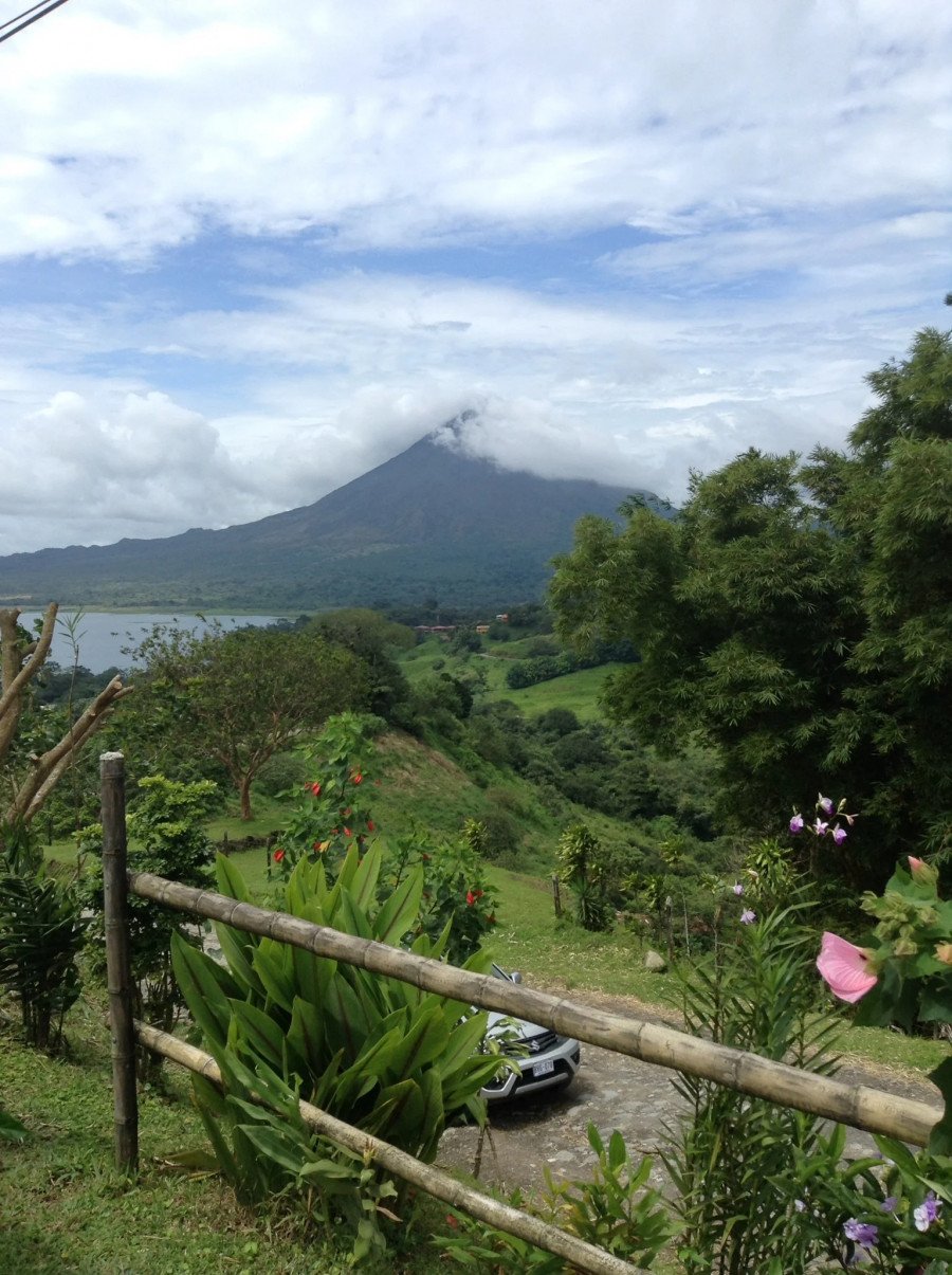 Jungle and volcano in the background