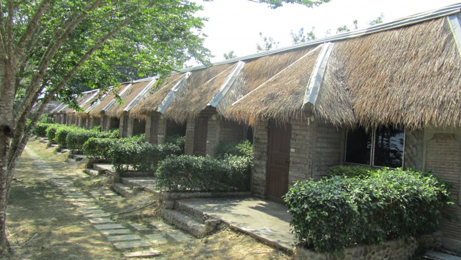 A row of houses with straw roofing