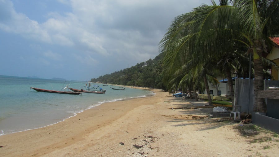 Koh Phangan beach with boats and palm trees