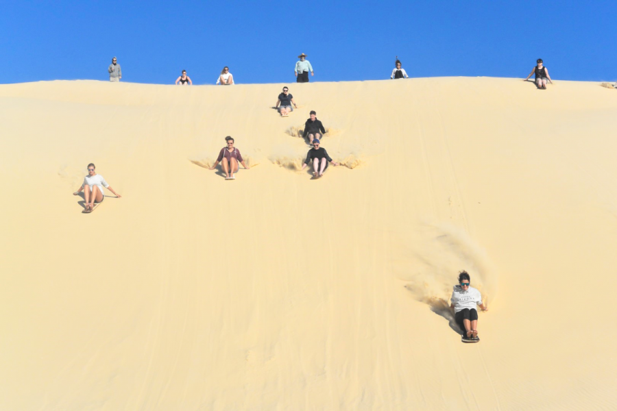 People sandboarding down sand dunes