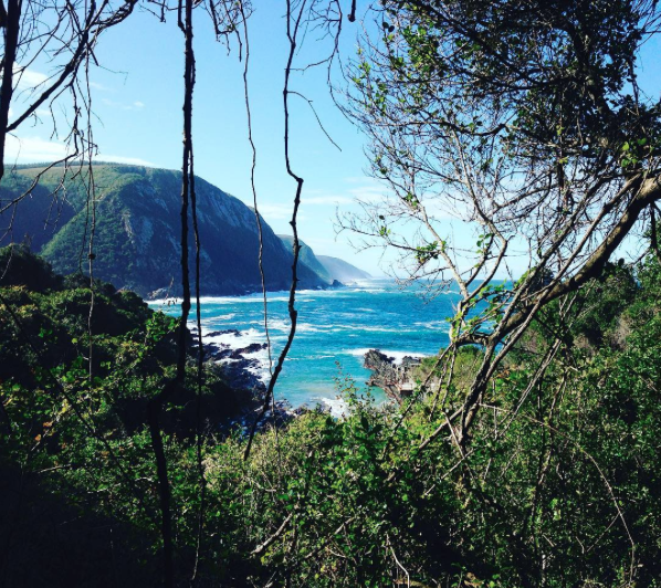 A view of the ocean and a mountain through a gap in a canopy of trees