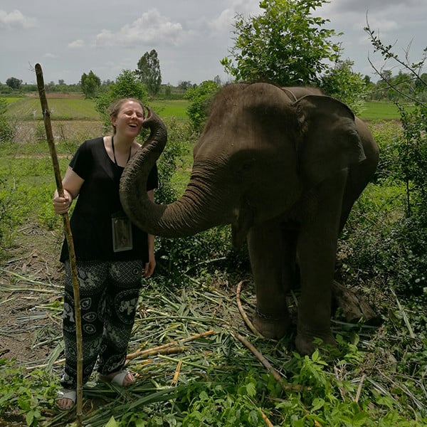 An elephant touching Kayleigh's face with it's trunk