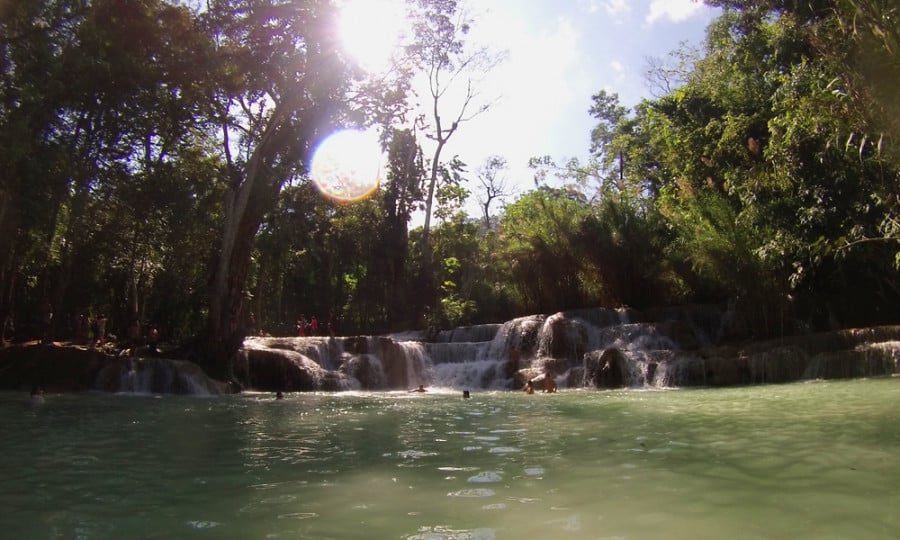 People swimming at a small waterfall surrounded by dense greenery